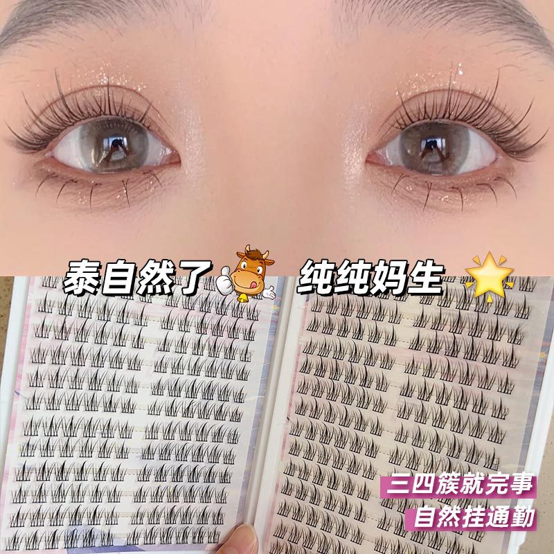 Feixi Lazy Sun Flower Eyelashes စာအုပ် False Eyelashes Single Cluster Natural Eyelashes Feather Fan Fairy Capillary Stem Simulation 