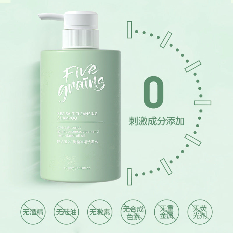 Korean herbal grain amino acid sea salt shampoo oil control anti-dandruff shower gel long-lasting fragrance smooth conditioner wholesale 