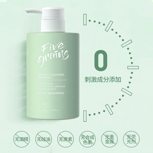 Korean herbal grain amino acid sea salt shampoo oil control anti-dandruff shower gel long-lasting fragrance smooth conditioner wholesale 