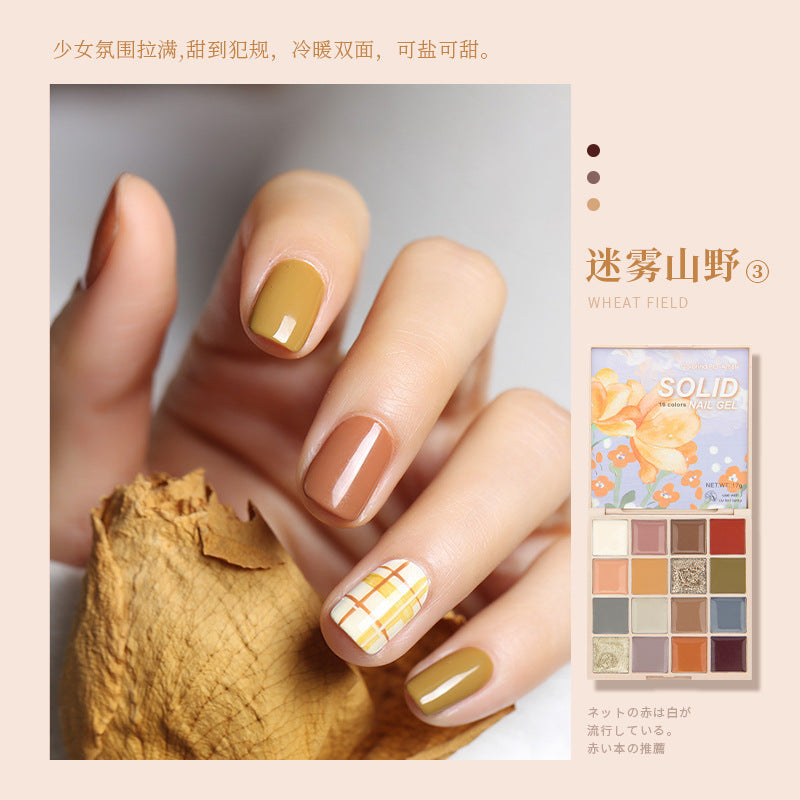 16 Color Solid Nail Polish Gel Set Eye Shadow Popular Solid Cream Painted Gel Manicure Shop Special Factory Wholesale 