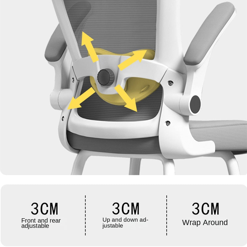 Learning chair ကျောင်းသား lift work chair ကလေးထိုင်ခုံလေး အဆင့် တည်ငြိမ်သောခြေထောက် 267 လေး-ခြေထောက် lift 