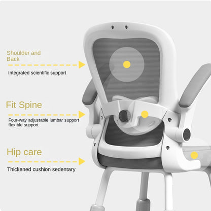 Learning chair ကျောင်းသား lift work chair ကလေးထိုင်ခုံလေး အဆင့် တည်ငြိမ်သောခြေထောက် 267 လေး-ခြေထောက် lift 