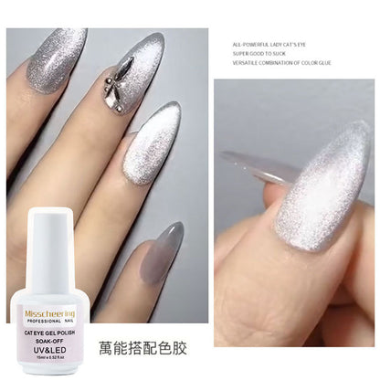 Manicure အသစ် Crystal Cat Eye Internet Celebrity Variety Silver Cat Eye Glue Manicure Shop Set Glue Nail Polish Factory Wholesale 